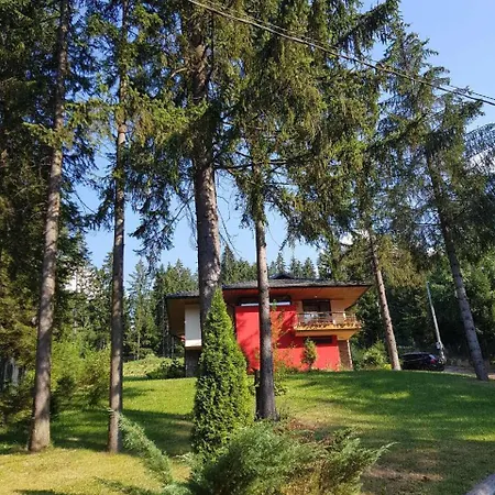 Forest Dream Villa