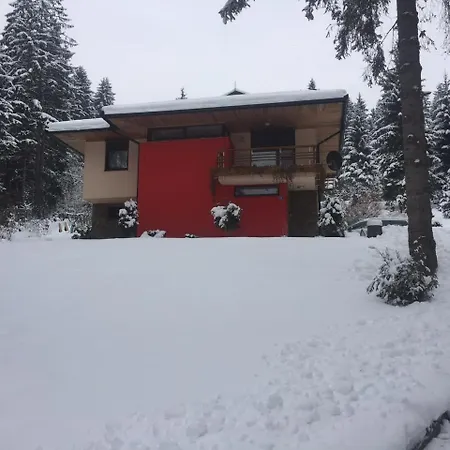 Forest Dream Villa Pale