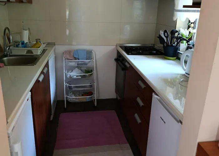 Forest Dream Villa *