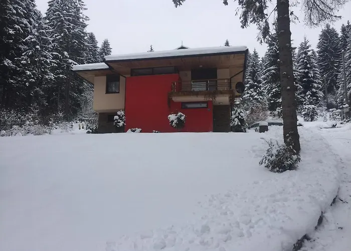 Forest Dream Villa Pale